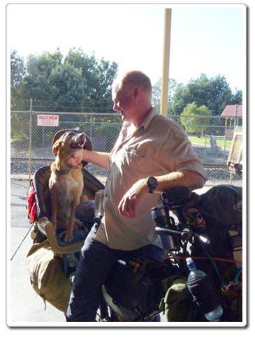 carrot and coffee dog having fun